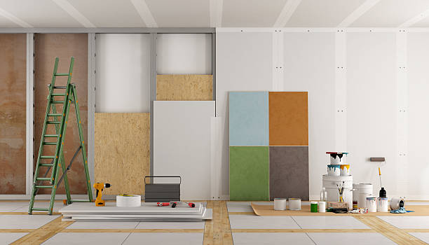 Trusted Minden, LA Mold Removal Experts