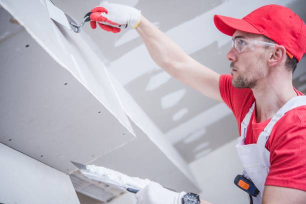Best Mold Prevention Services  in Minden, LA